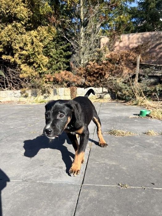 Uri  to 3 mc chlopak