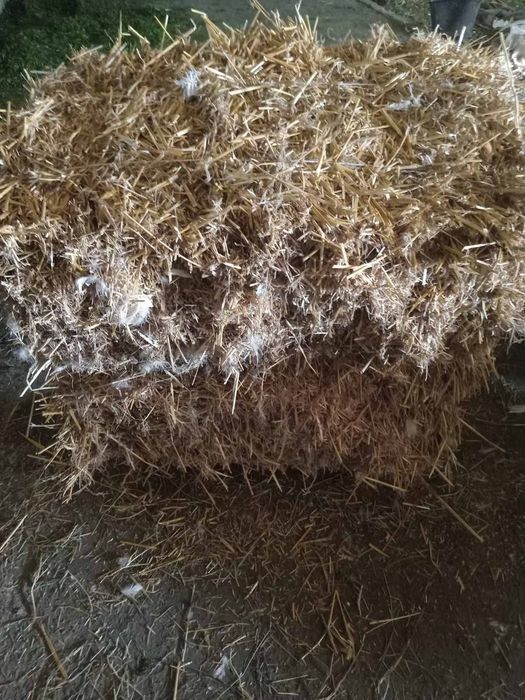 Тюки сіна соломи