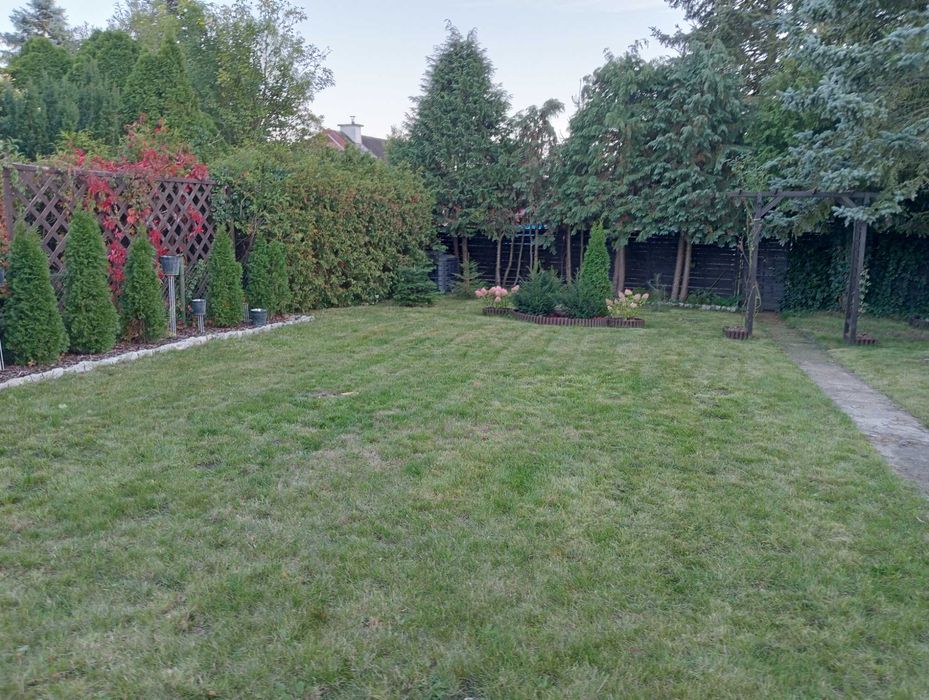 ROD Bartoszewo 348m² | Parking na 2 auta | Media