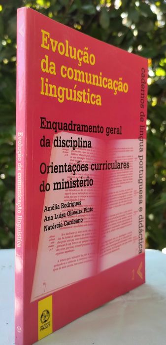 Evolução da comunicação linguística I