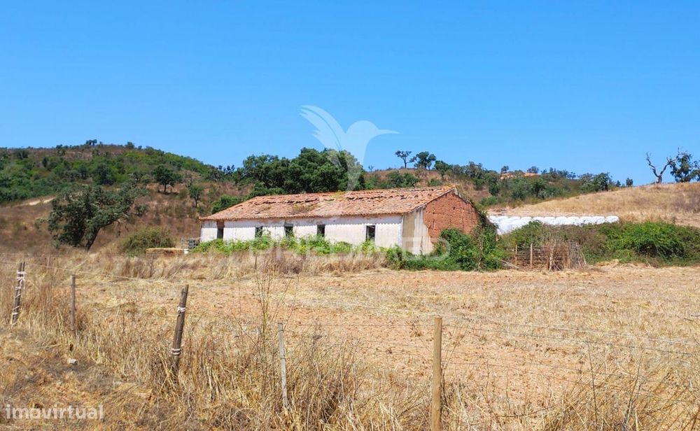 Herdade com 36,9000 ha a 3 Km do Pego das Pias