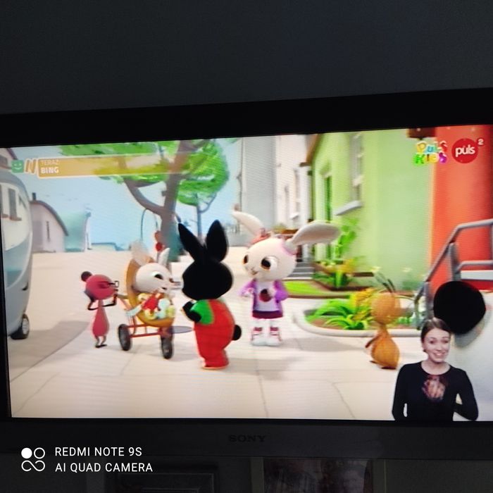 Telewizor Sony Bravia