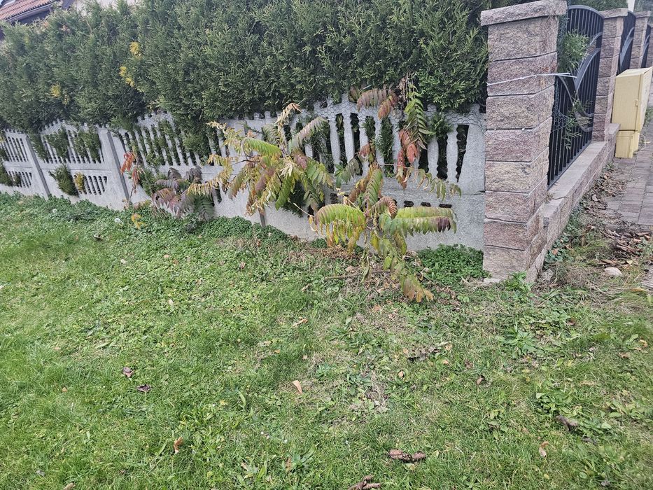 Płot betonowy , przęsła betonowe