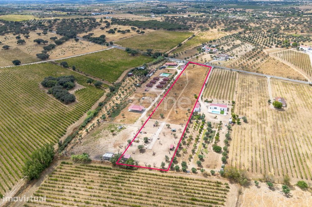 Terreno com 1 ha no Alentejo | Viabilidade construtiva