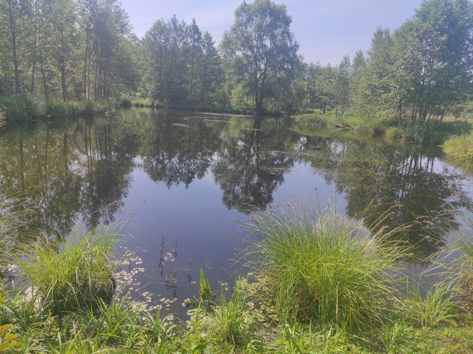 Zdjęcie 3