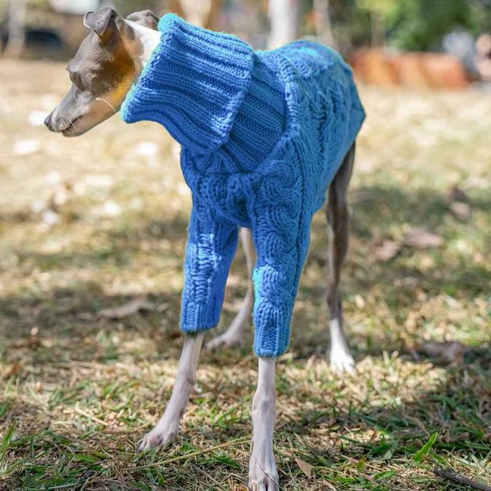 Piękny błękitny sweter z golfem rozm. S dla psa, charcika, whippeta