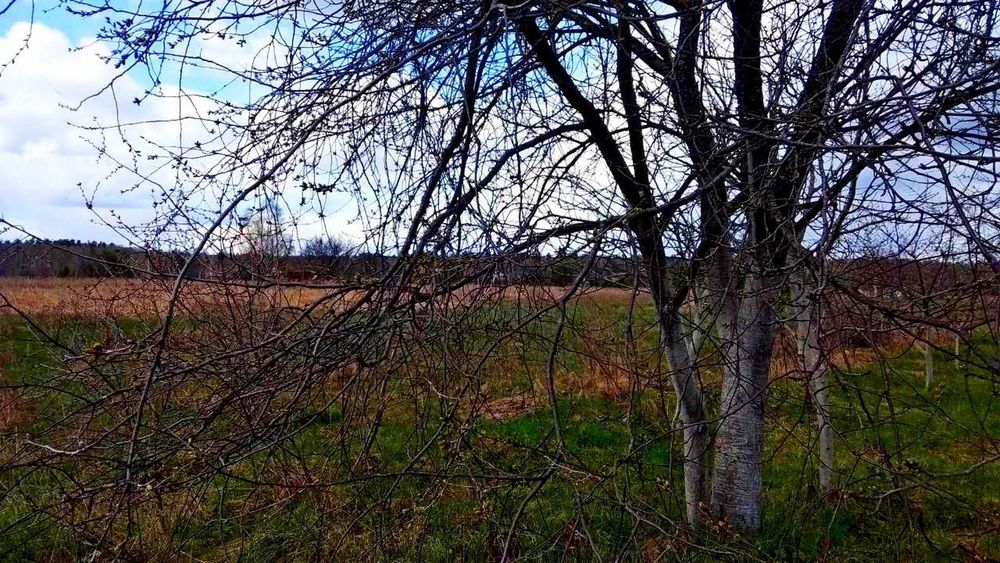 TO Земельна ділянка під будівництво у передмісті Чернігова