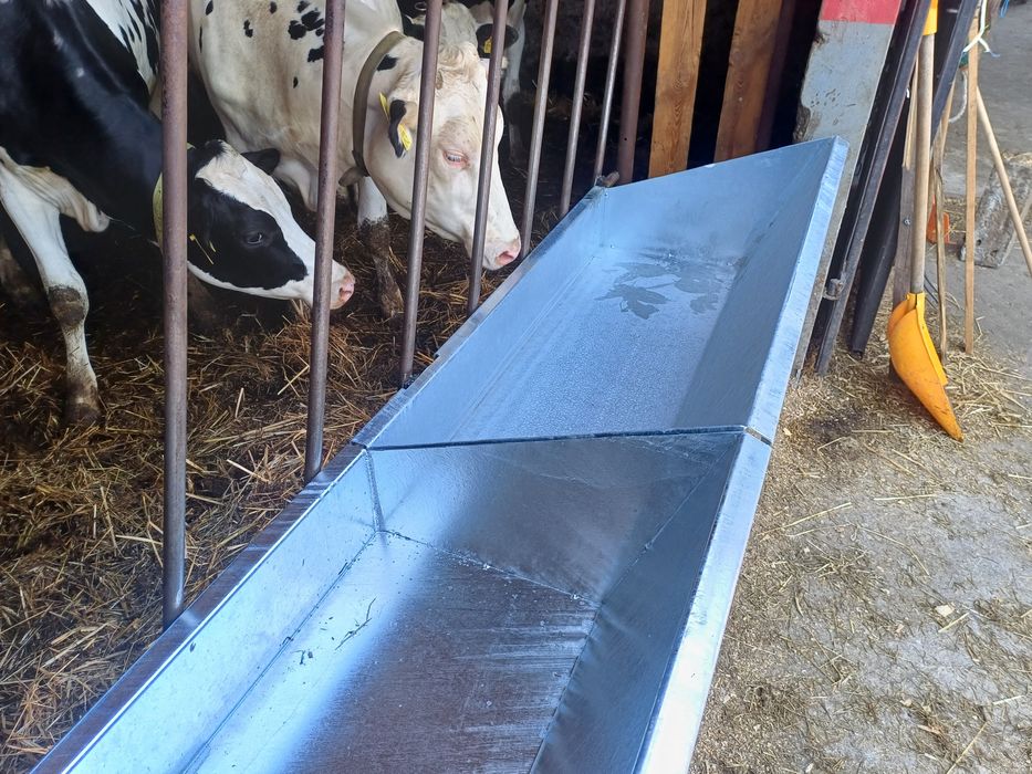 Wygrodzenia przegrody dla bydła