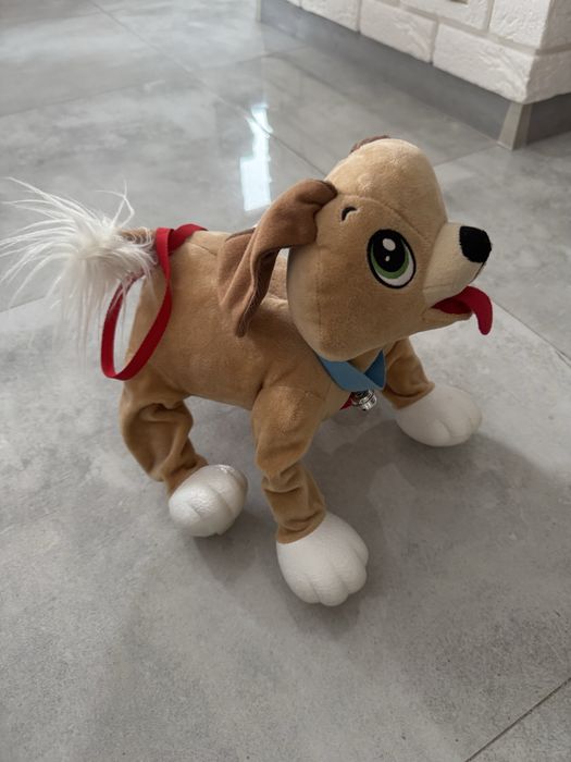 Epee pies Boogie rozrabiaka