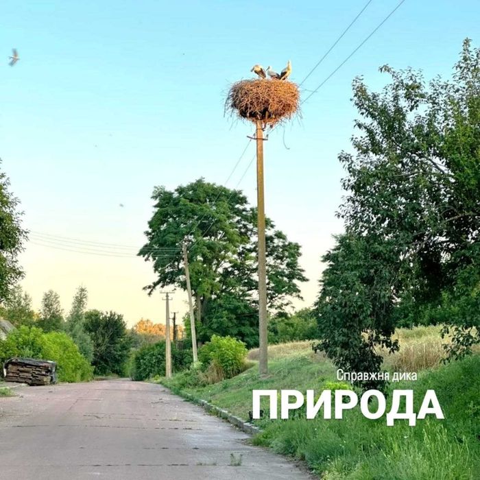 ВІдпочинок в українській хаті з комфортом подобово