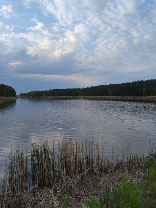Dom nad jeziorem
