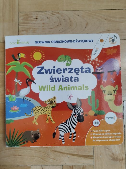Książki, Gry i Mówiacy Długopis