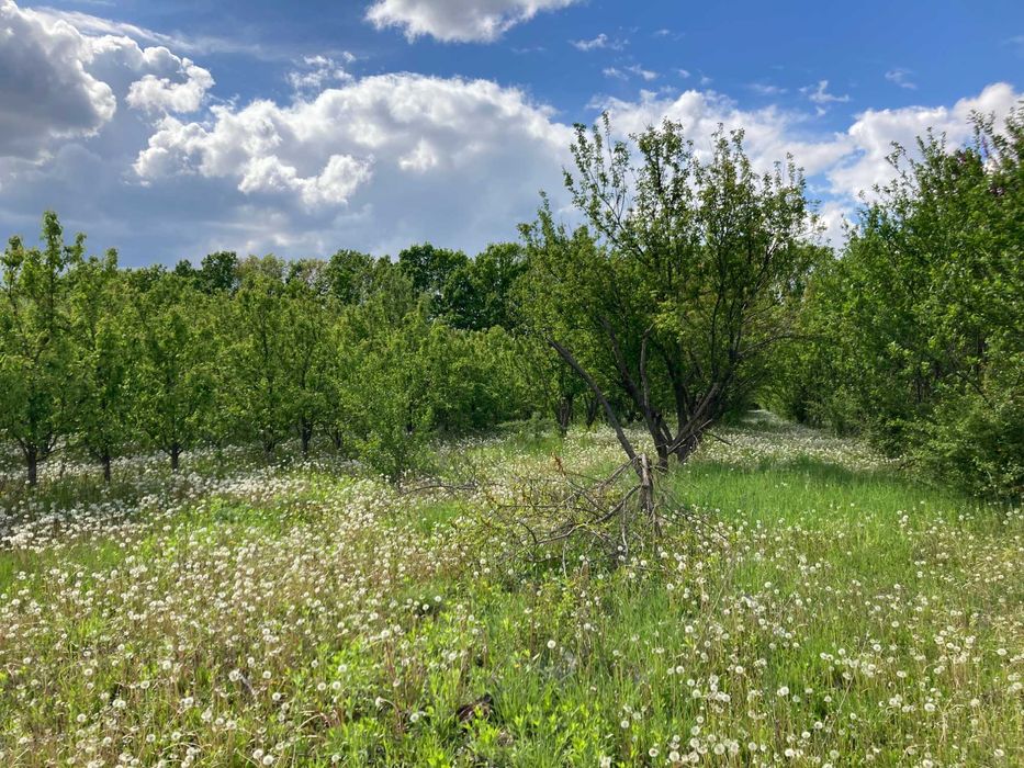 Продам земельну ділянку під комерцію біля складів Нової Пошти, Вінниця