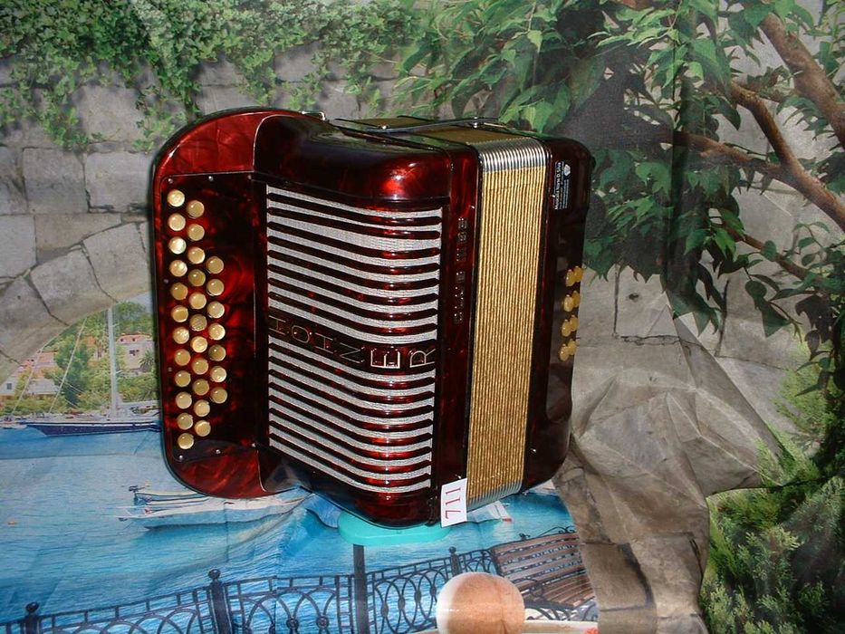 Concertina a venda n.711