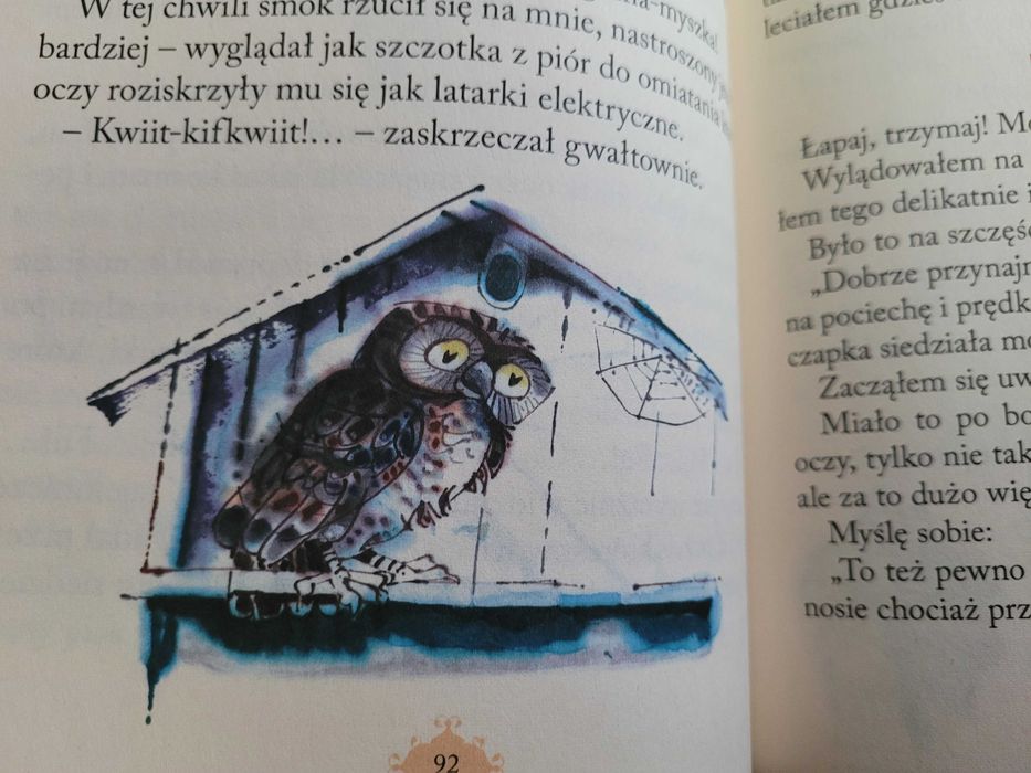 Kownacka, Plastusiowy pamiętnik, wersja limitowana, il Rychlicki NOWA