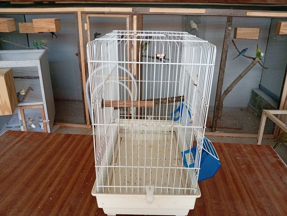 Gaiola para vendo