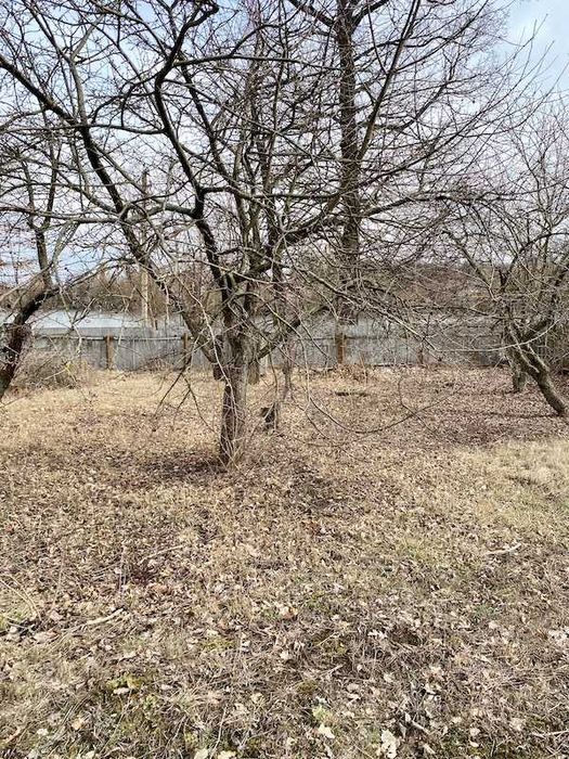 Продам земельну ділянку Шаровка Богодухівський район (169139)