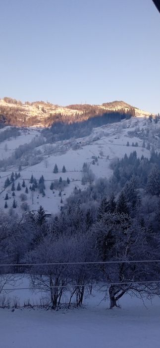 Котедж''у Марічки"