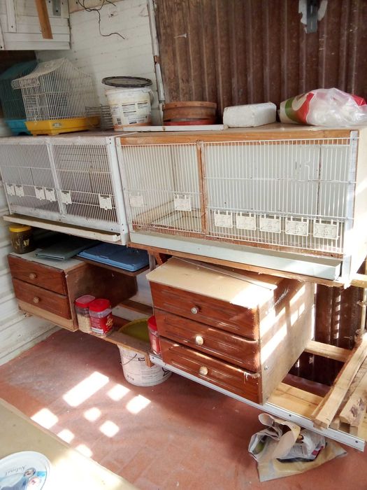 Gaiolas para criação de Canários