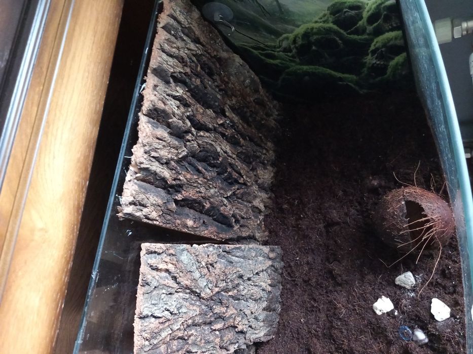 Terrarium duże z wyposażeniem lub akwarium