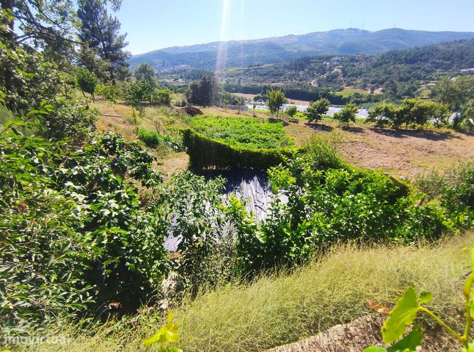 Quinta  Venda em Vela,Guarda