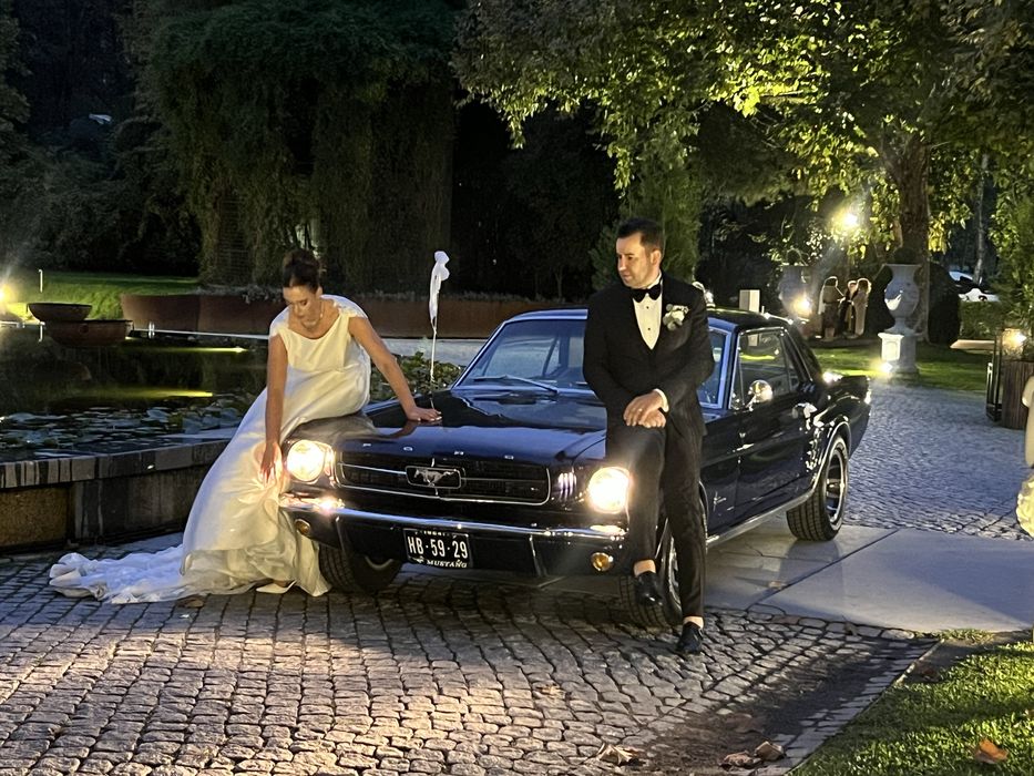 Mustang para ALUGUER ou VENDA