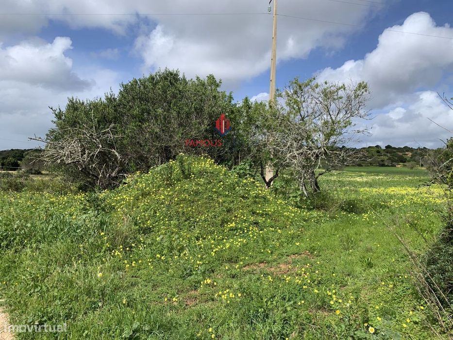 Terreno Oportunidade em Montinhos da Luz - Tranquilidade... — Lagos (São Sebastião E Santa Maria), Faro