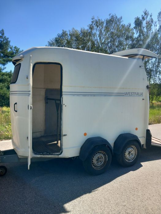Przyczepa do przewozu koni bukmanka Westfalia