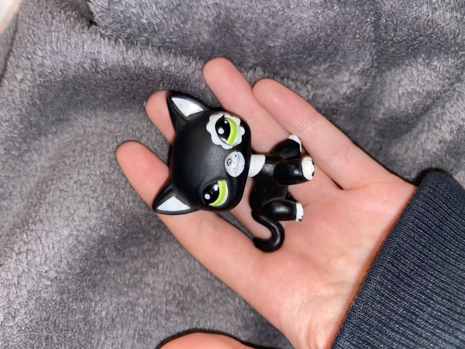 LPS shorthair 2006 rok fashion shoot