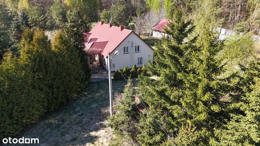 Łejławki Małe,JEZIORO prywatne, 3.01ha, LAS,Orneta
