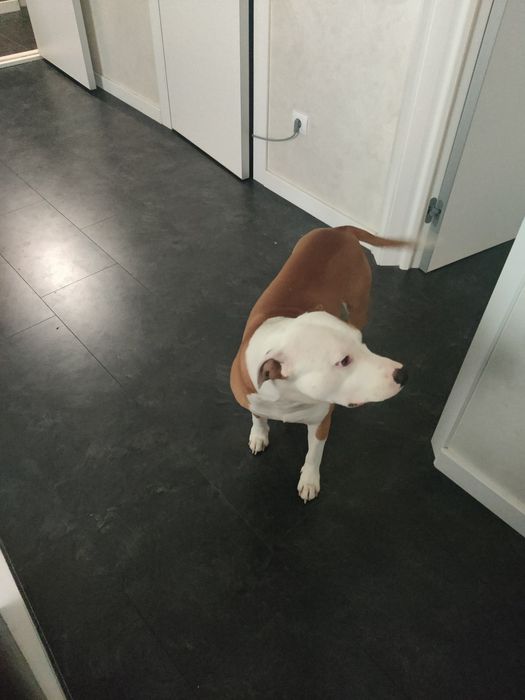 Вязка для здоровья