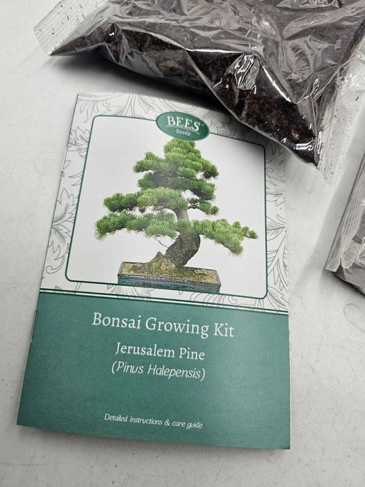 Zestaw do uprawy Bonsai z nasionami Pine