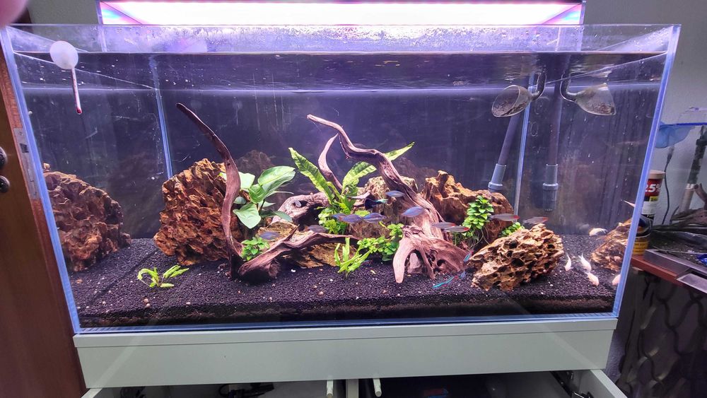 AQUARIO completo 90cm Signature