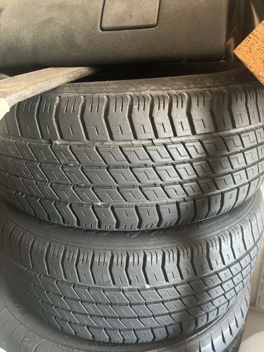 Peneus  michelin piloto