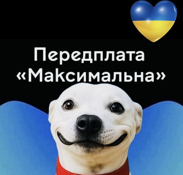 Мега мего мег  підписка максимальна оптимальна футбол нетфлік