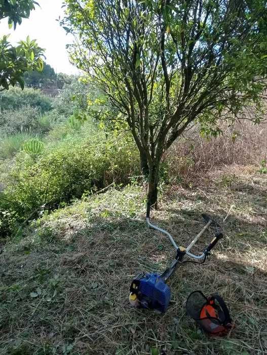 Limpeza de Terrenos e Corte de Mato com Roçadora – Óbidos e Região
