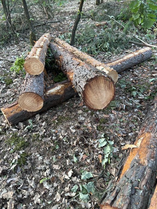 Sprzedam drzewo budowlane i opalowe
