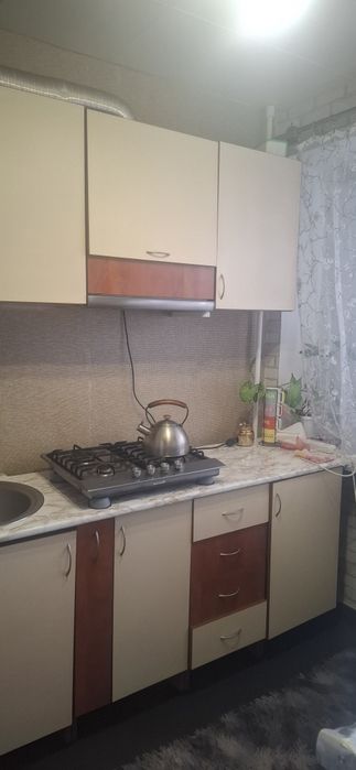 Сдам посуточно 1-кімнатна квартира подобово Свет есть| Центр Бабурки |
