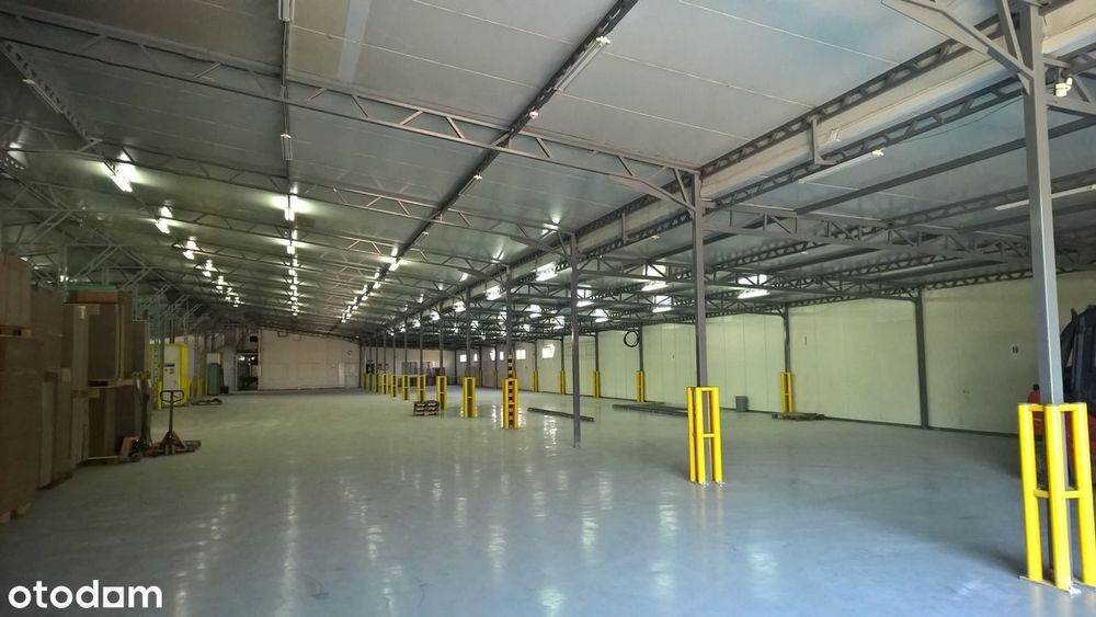 Hala magazynowa 2000 m² Stryków/Głowno | A1 /A2 | 400 kW | od 100 m²