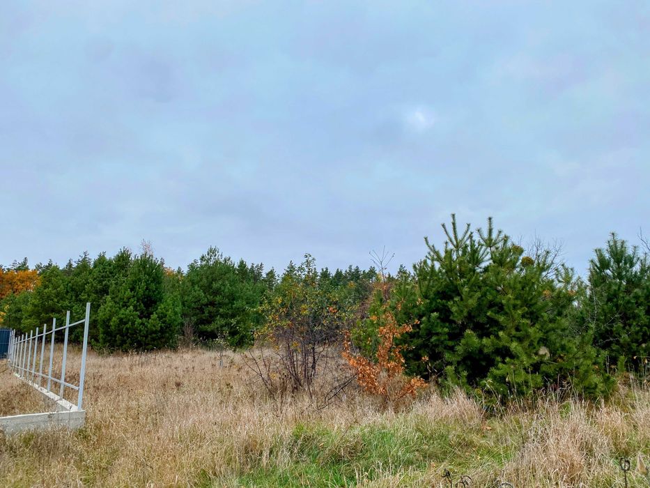 Продаж унікальної ділянки 9 сот з Соснами та видом на Заповідний ліс.