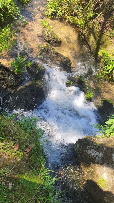 Propriedade com 4ha com Casas, Água, Vista e Muito Acolhedora