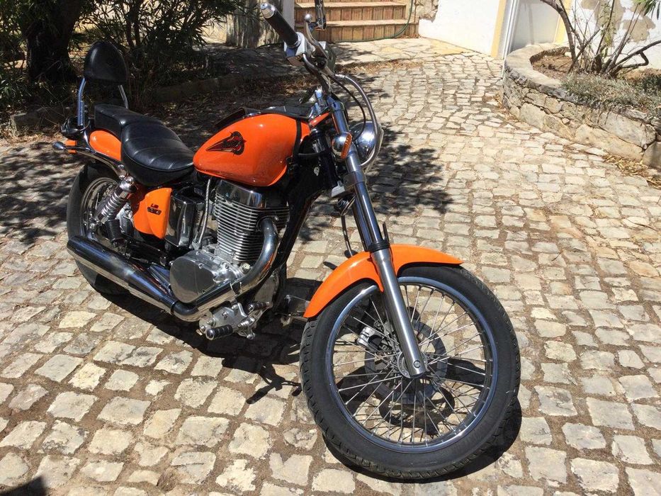 Suzuki LS Savage 650