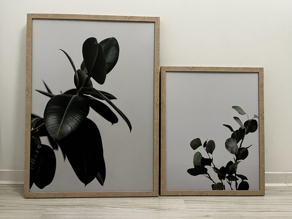 Obrazy obraz rosliny roslina minimal japandi