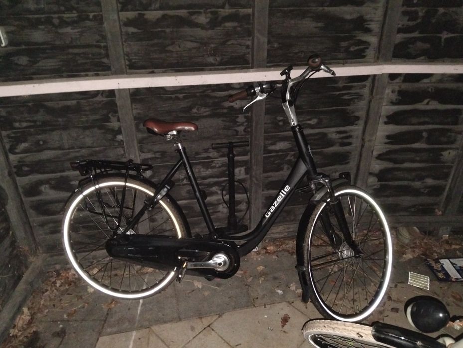 Gazelle impulse rower elektryczny