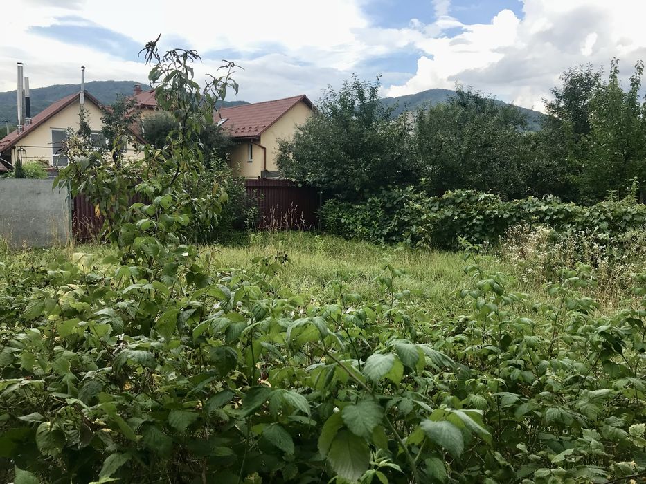 Продам будинок Свалява вул.Визволення