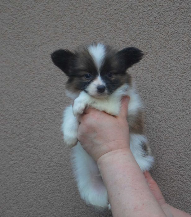 самый лучший мальчик