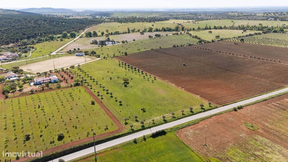 Terreno no concelho de Reguengos de Monsaraz com Projeto de arquitetur