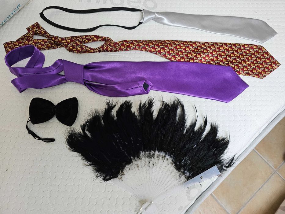Varios acessórios de Carnaval