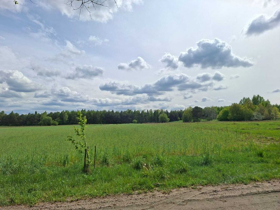Działka na sprzedaż, Łukta