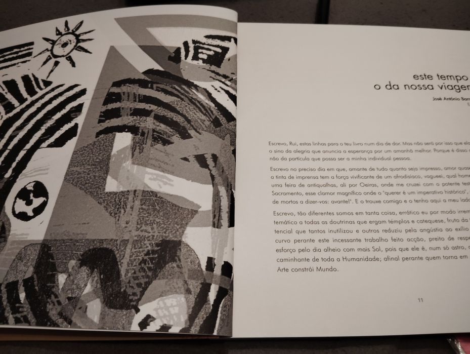 Livro Viajante do Tempo Novo